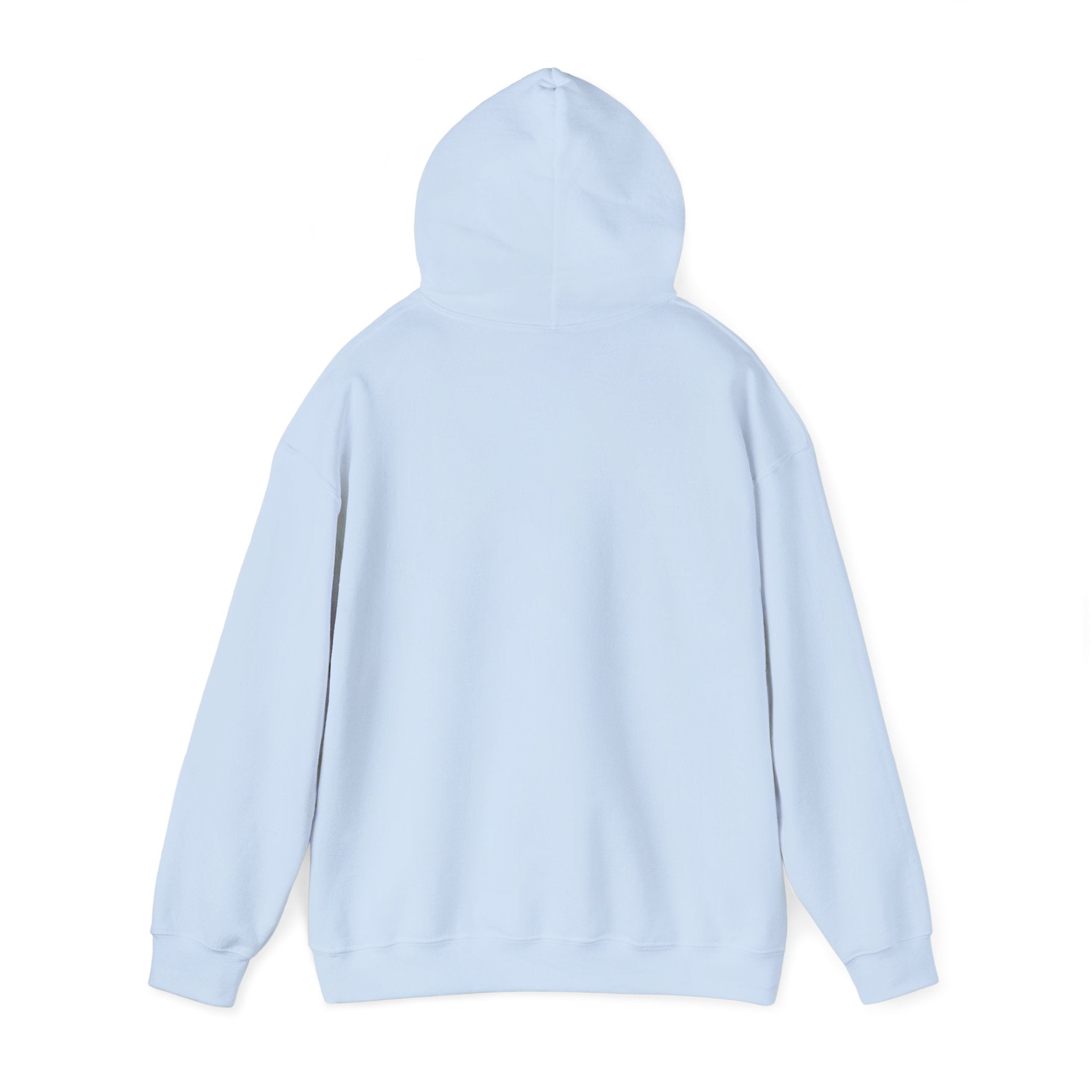 Retro Hotel Lago Hooded Sweatshirt